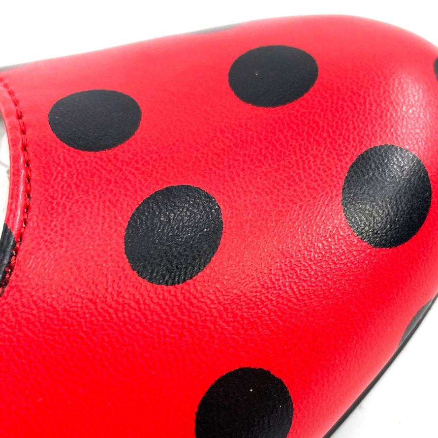 Chaussures de Flamenco Rouges et Noires