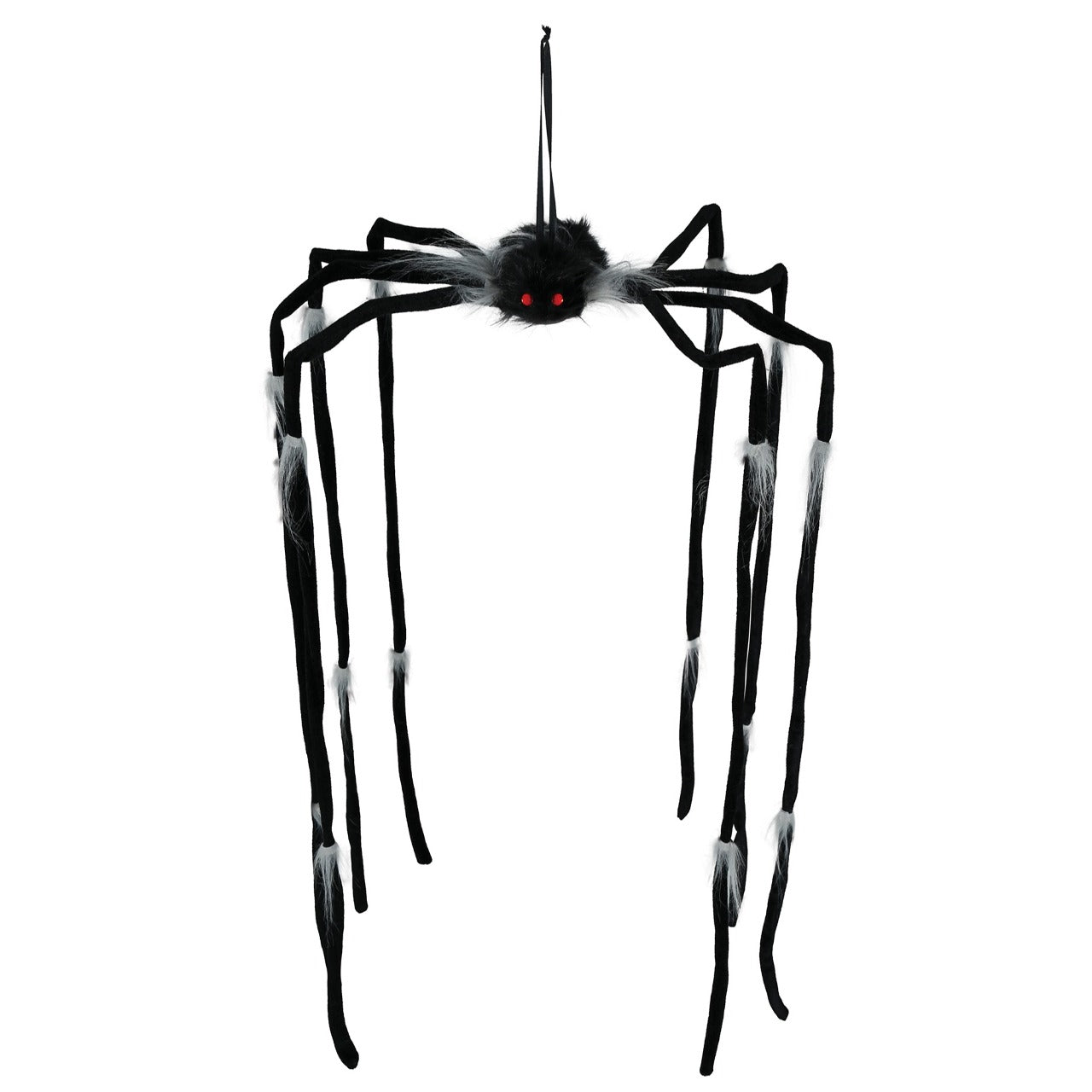 Araignée Suspendue