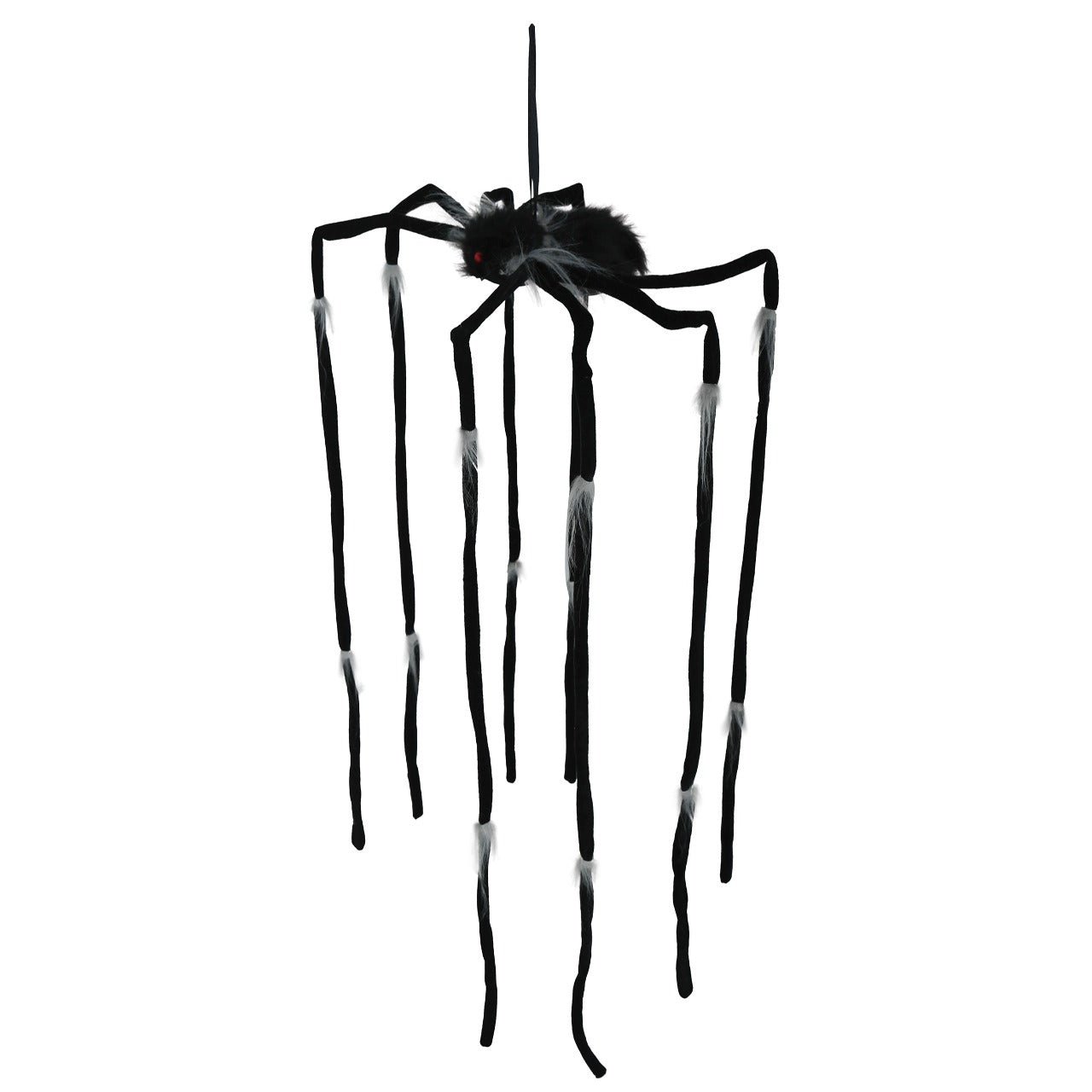 Araignée Suspendue