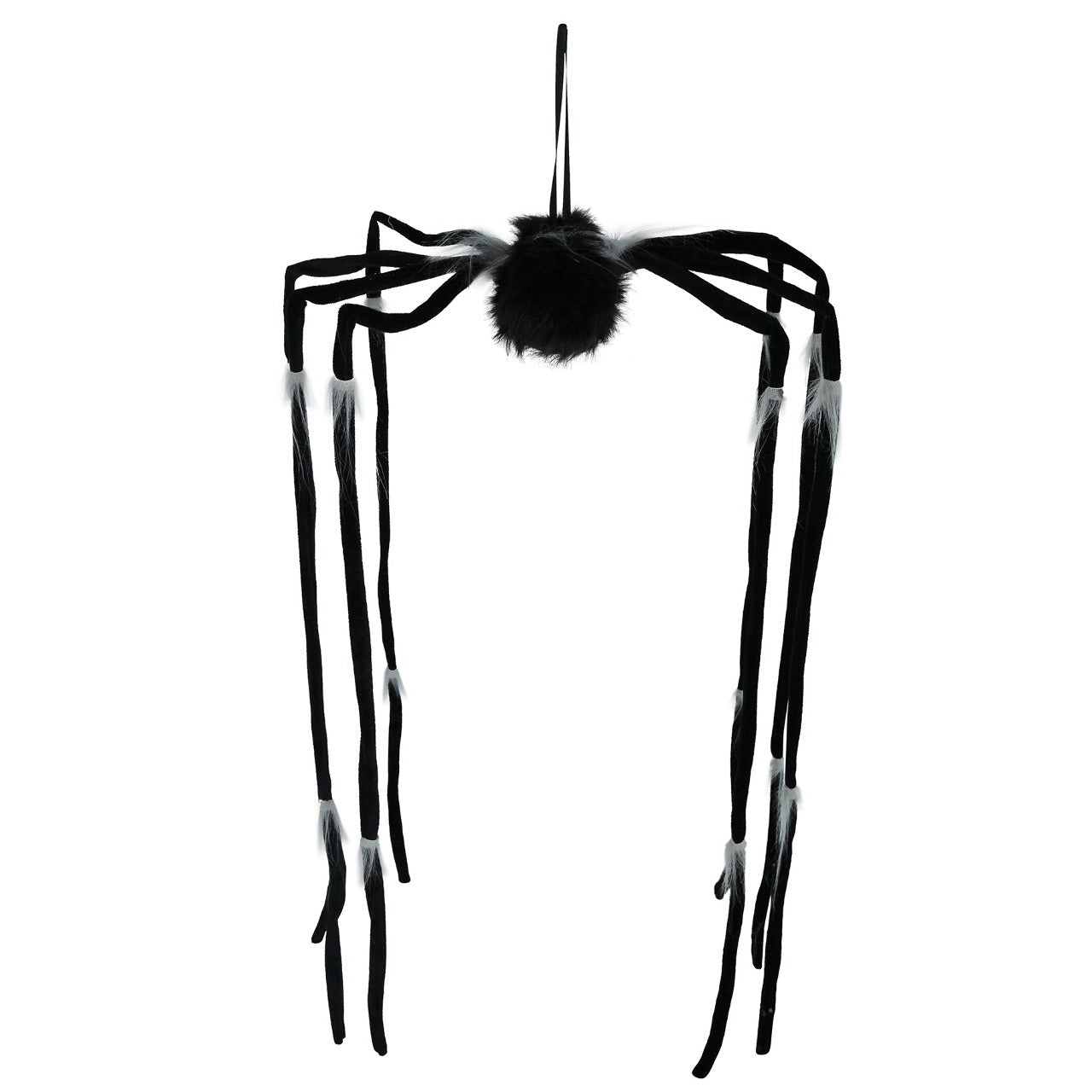 Araignée Suspendue