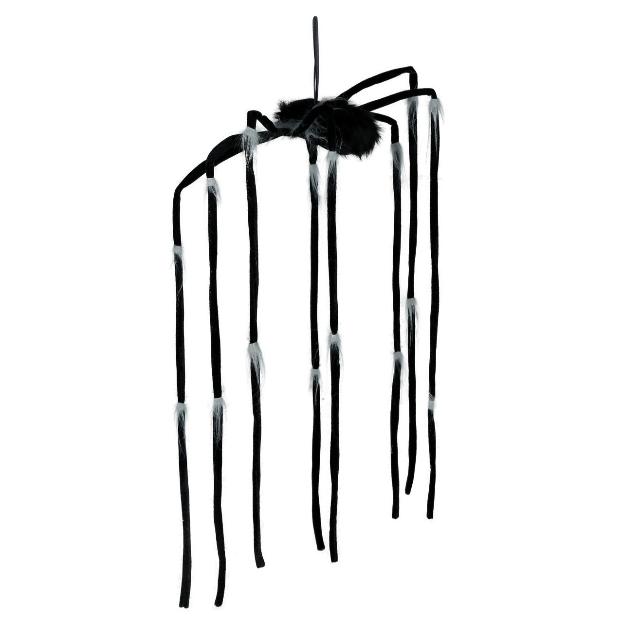 Araignée Suspendue