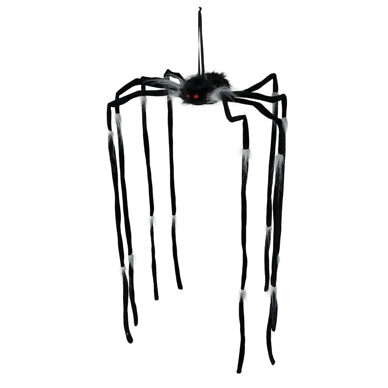 Araignée Suspendue