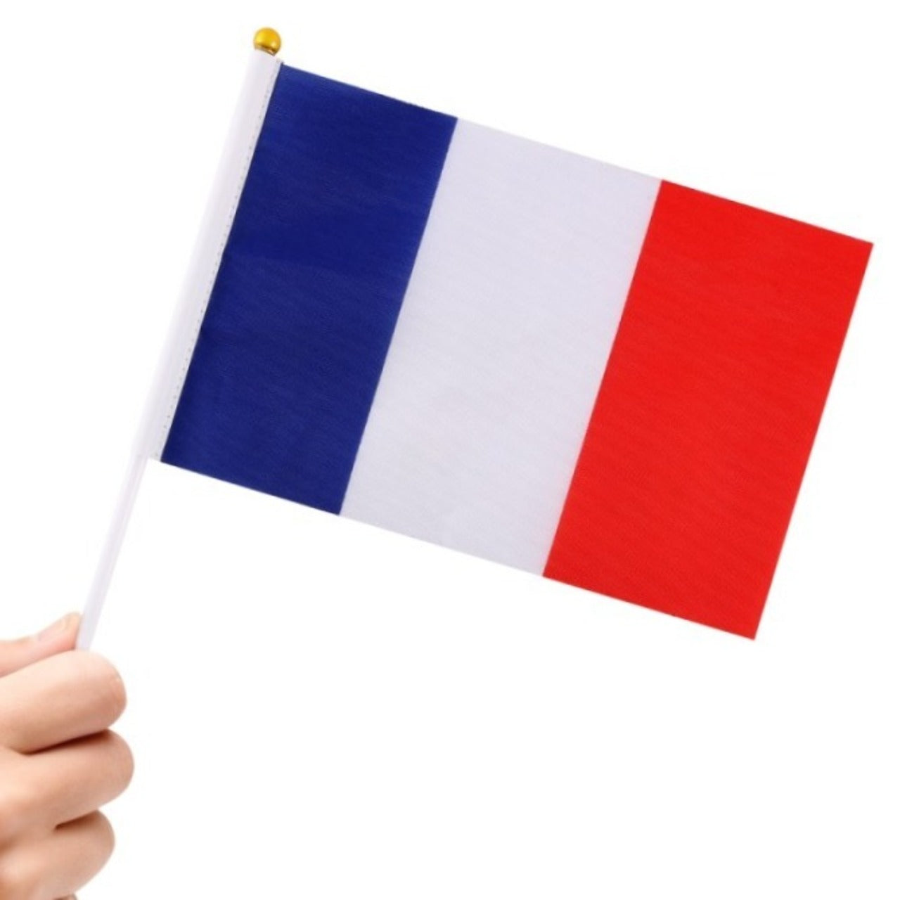 Pack de 24 Fanions France 20x30cm
