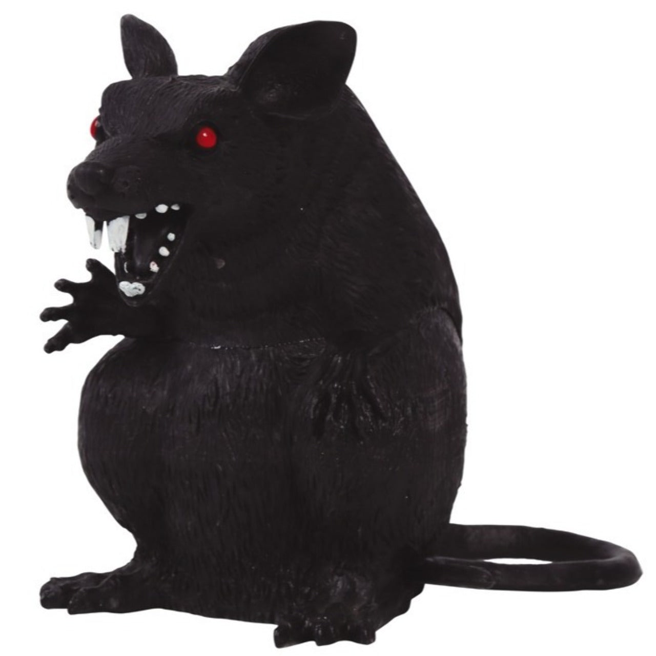 Rat Assis