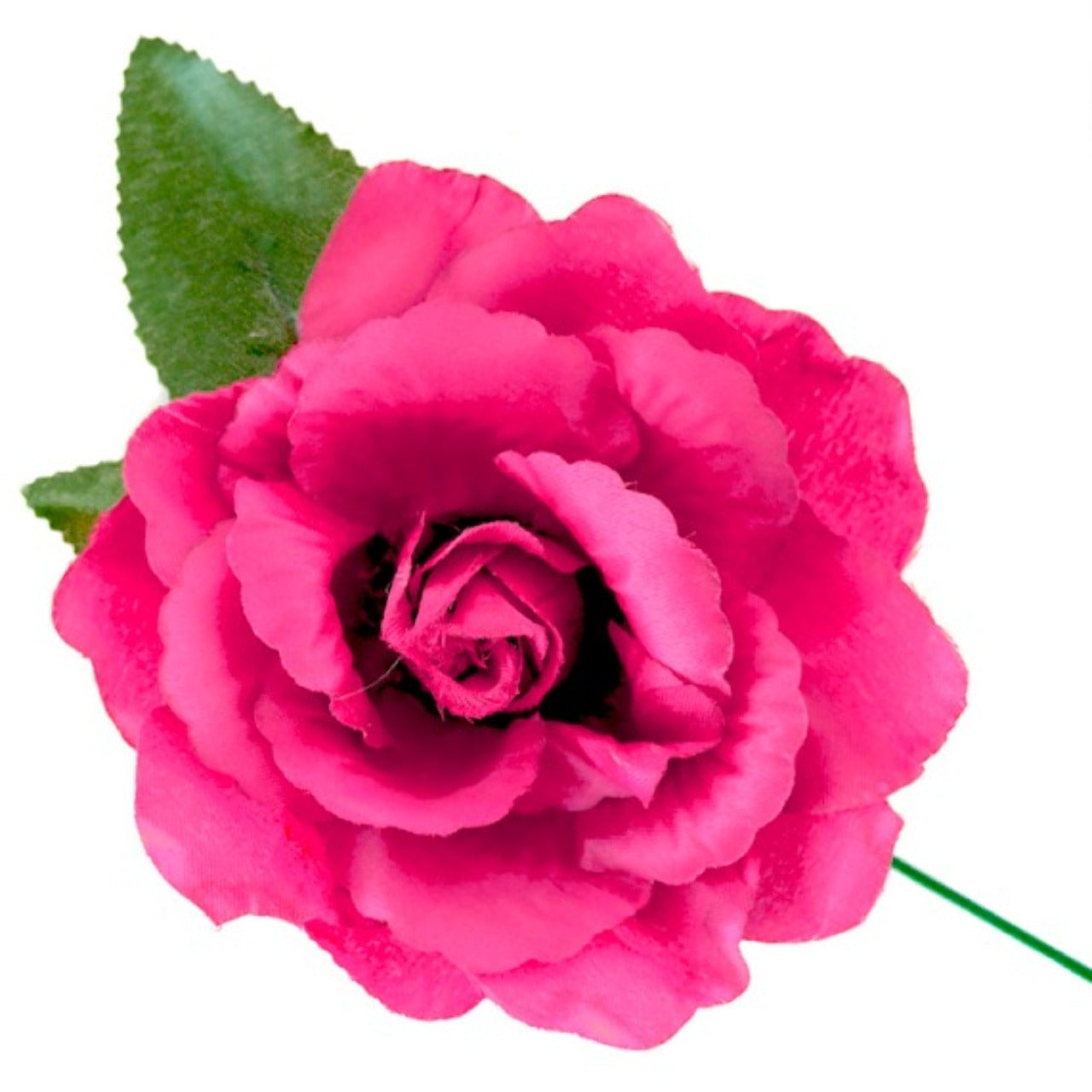Rose Fuchsia de Flamenca et Chulapa