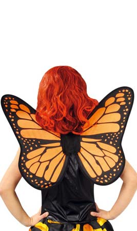 Ailes Papillon Reine