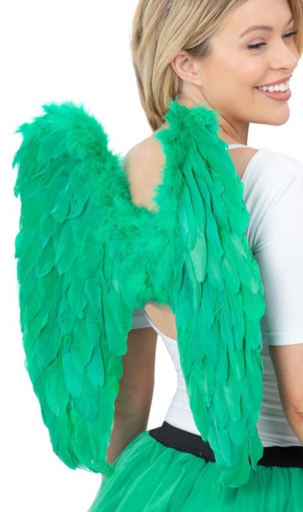 Ailes Vertes Plumes