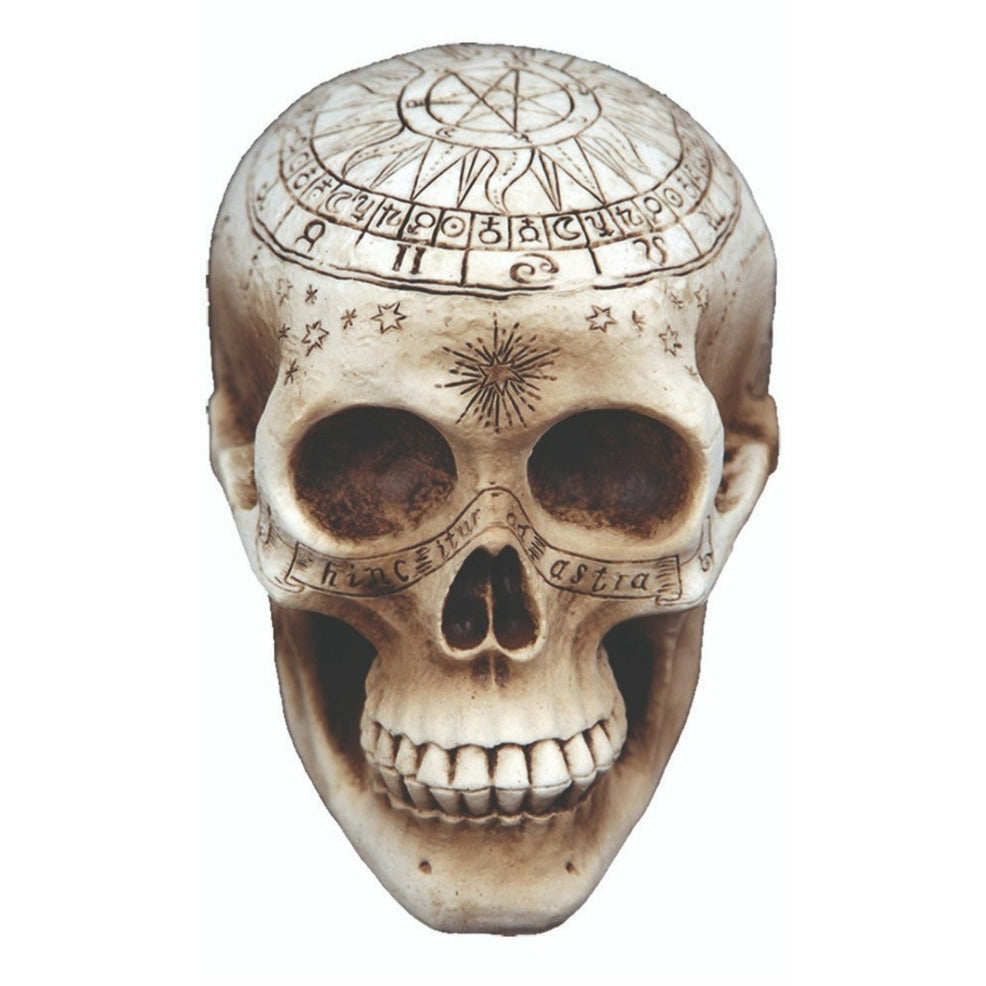 Calavera Brujería | Don Disfraz