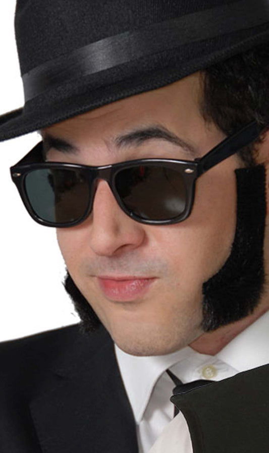 Lunettes Blues Brothers