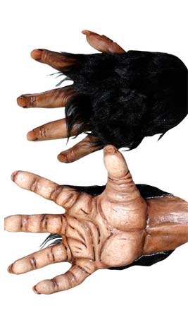 Mains pour Chimpanzé