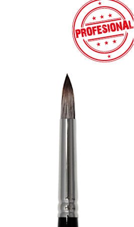 Pinceau Rond Professionnel