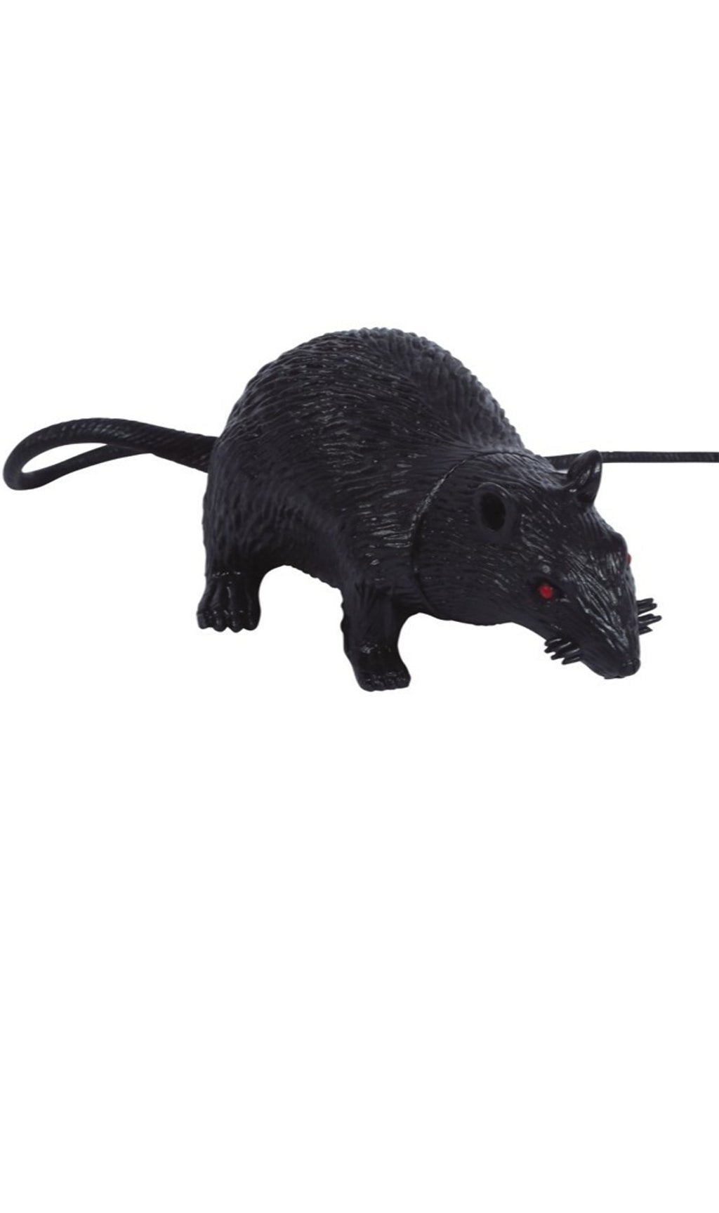 Rat noir Latex