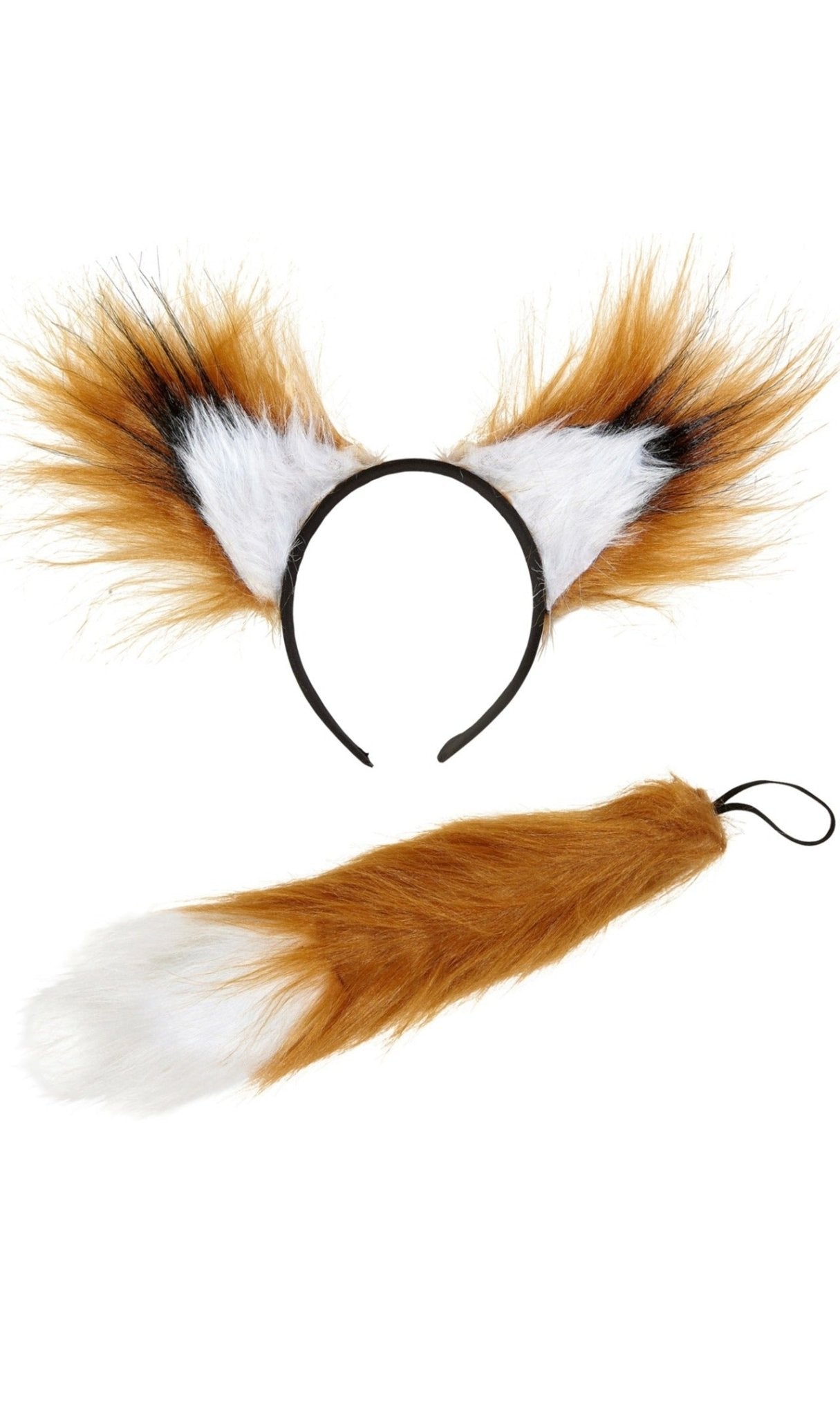 Kit de Renard Vulpes