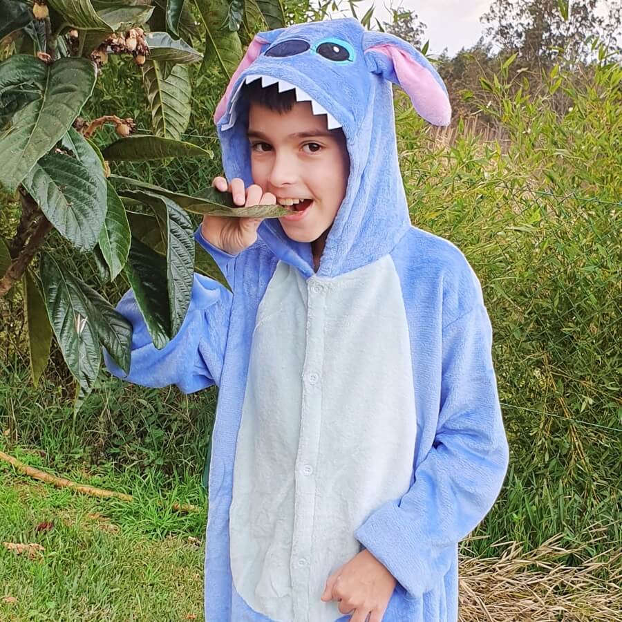 Disfraz de Stitch
