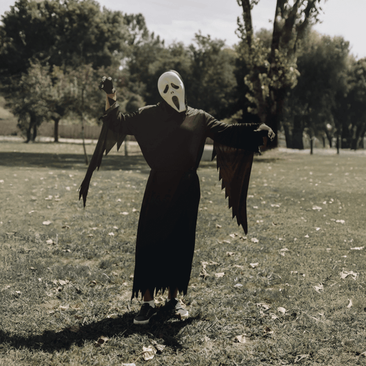 Disfraz scream