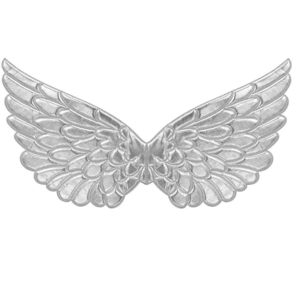 Ailes argentées