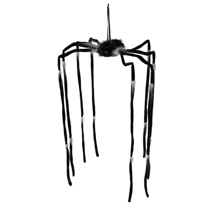 Araignée Suspendue