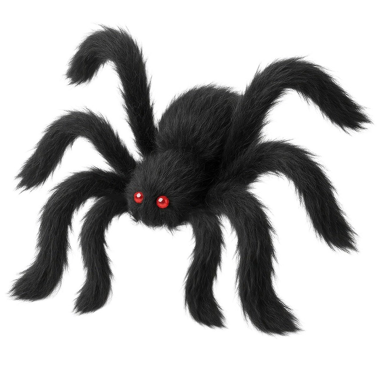 Araignée Noire Poilue Géante