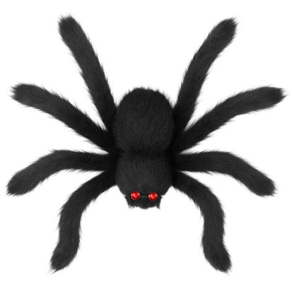 Araignée Noire Poilue Géante