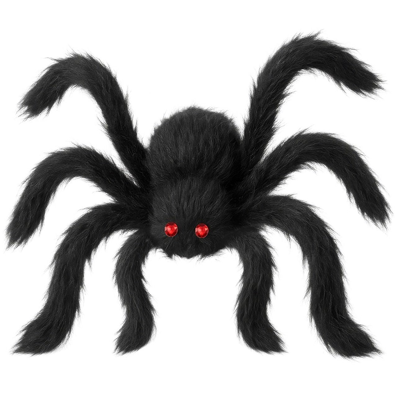 Araignée Noire Poilue Géante