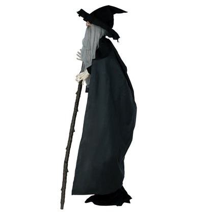 Sorcier Sinistre 