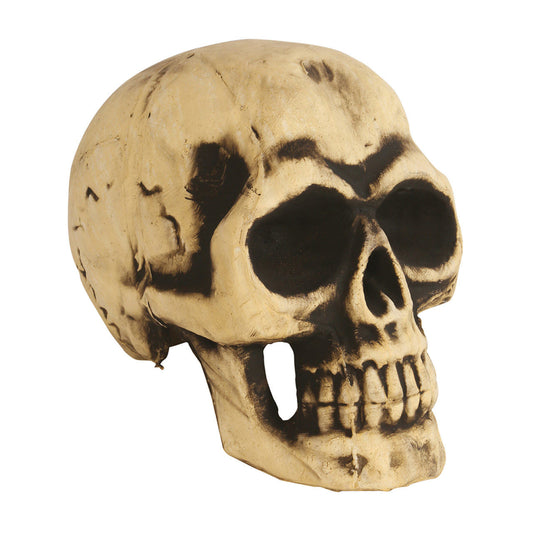Grande Crâne en Mousse
