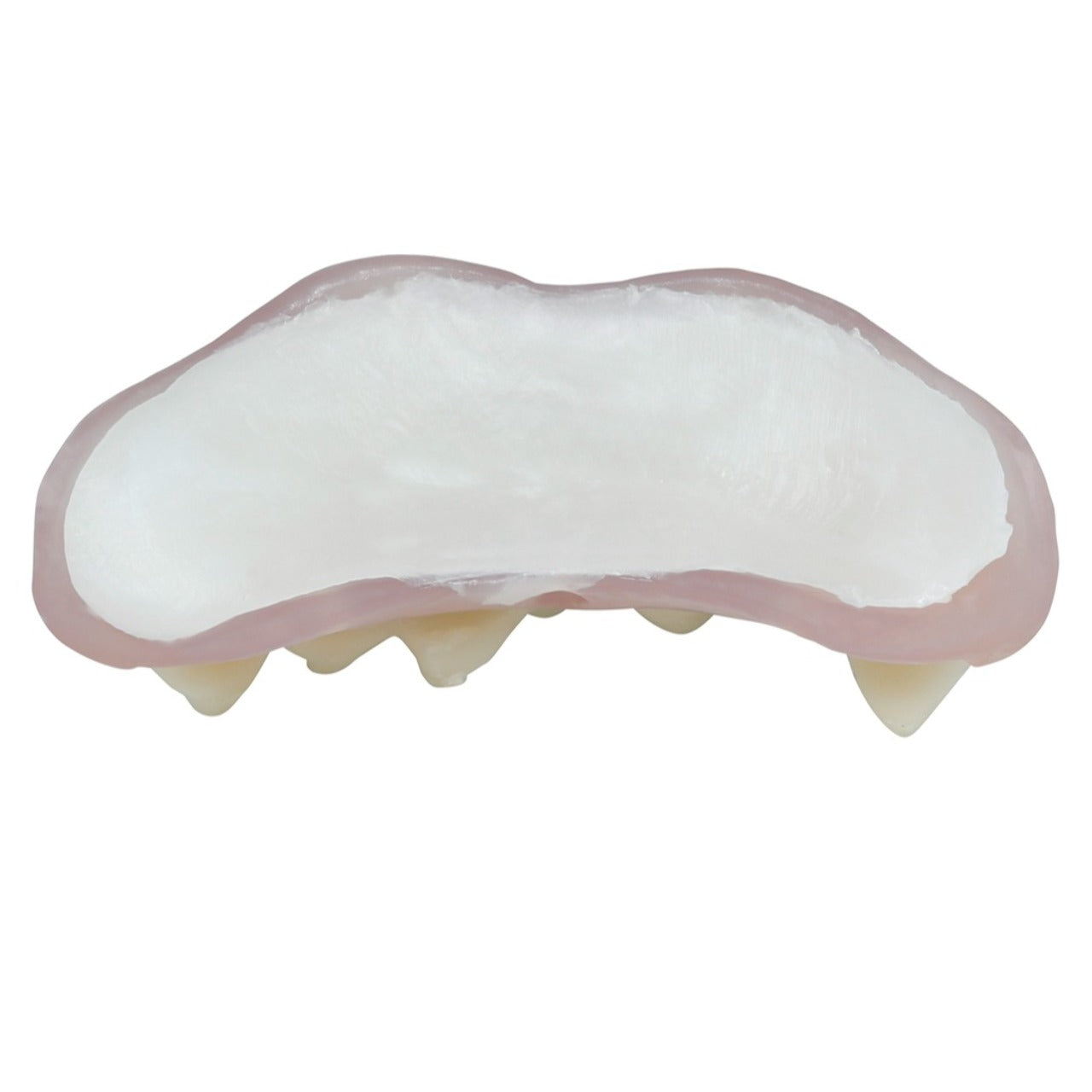 Dentier Vampire avec Thermoplastique