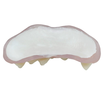 Dentier Vampire avec Thermoplastique