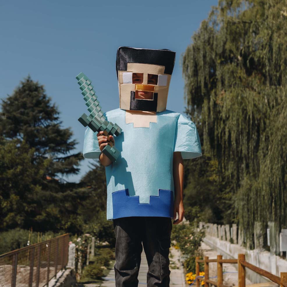 Disfraz Minecraft
