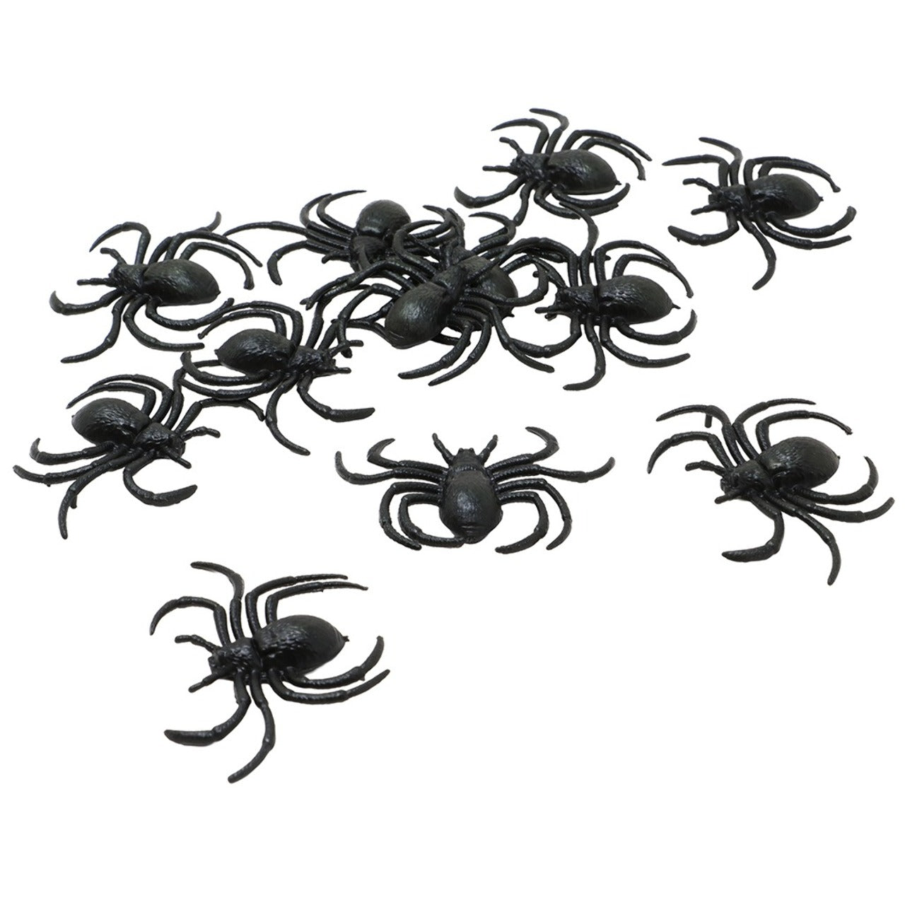 Pack 12 Araignées Noires