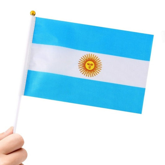 Pack 24 fanions d'Argentine 20x30cm