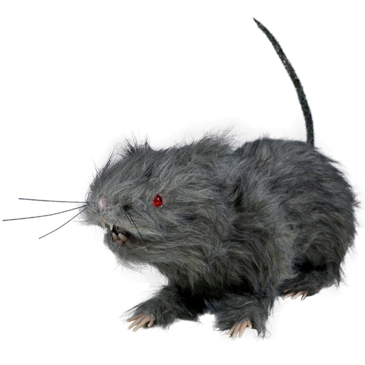 Grand Rat avec Lumière