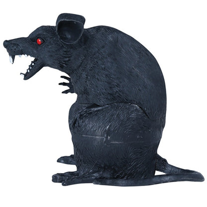 Rat Assis