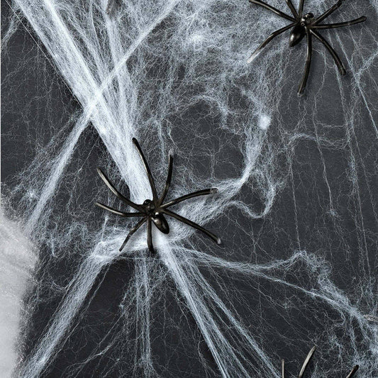Toile d'araignée Blanche 100g
