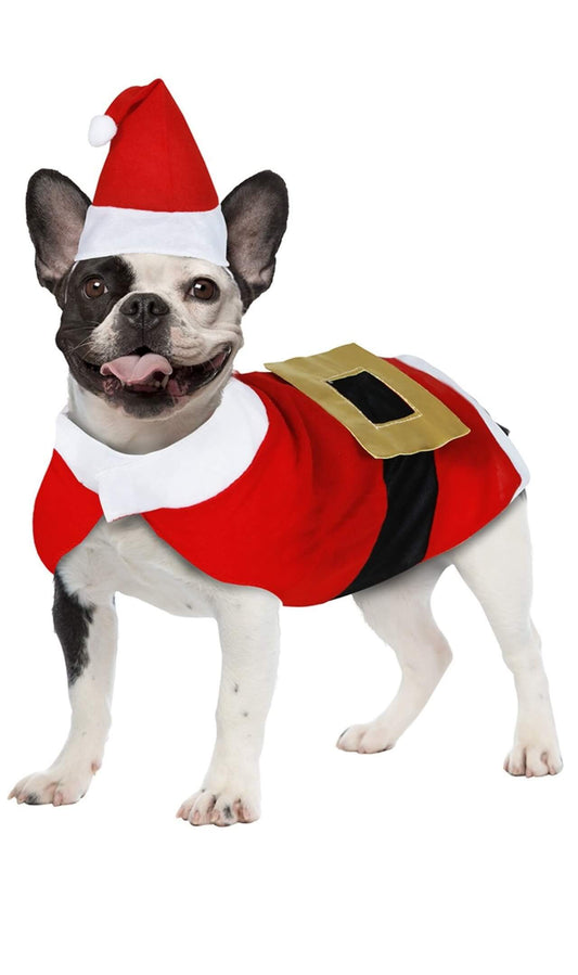 Déguisement Père Noël pour animal de compagnie éco