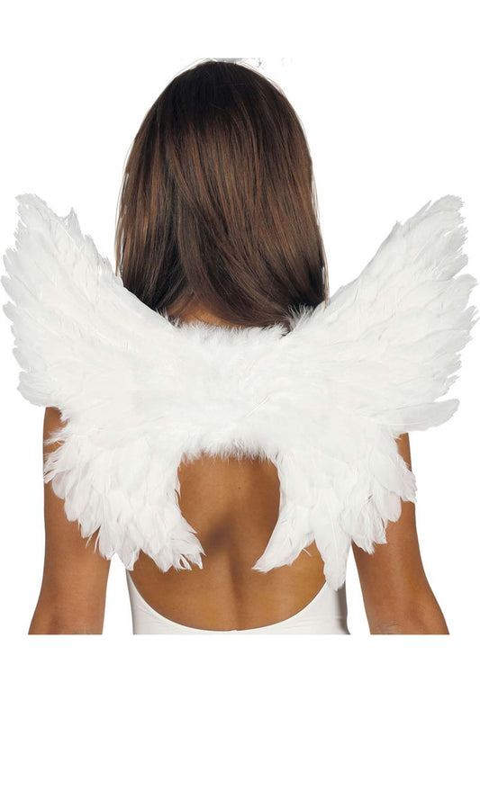 Ailes Blanches Plumes