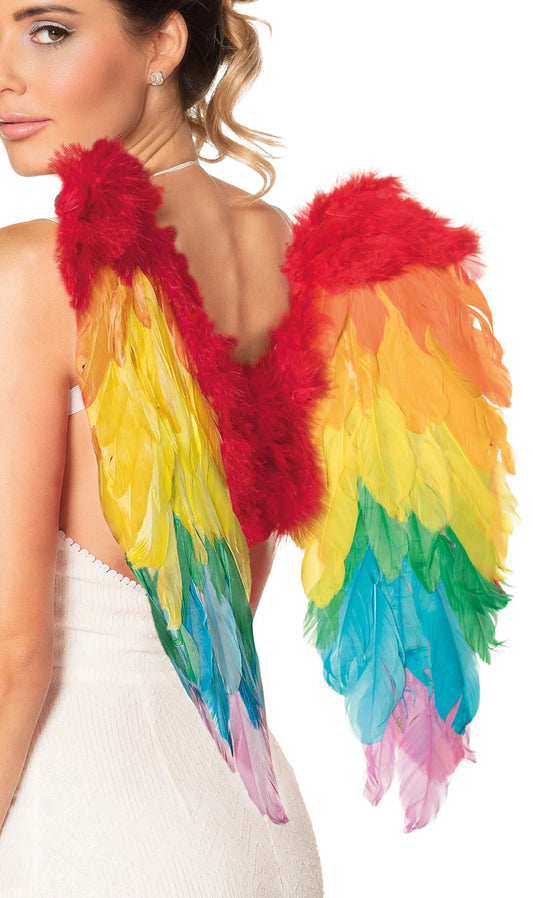Ailes avec Plumes Arc-en-Ciel