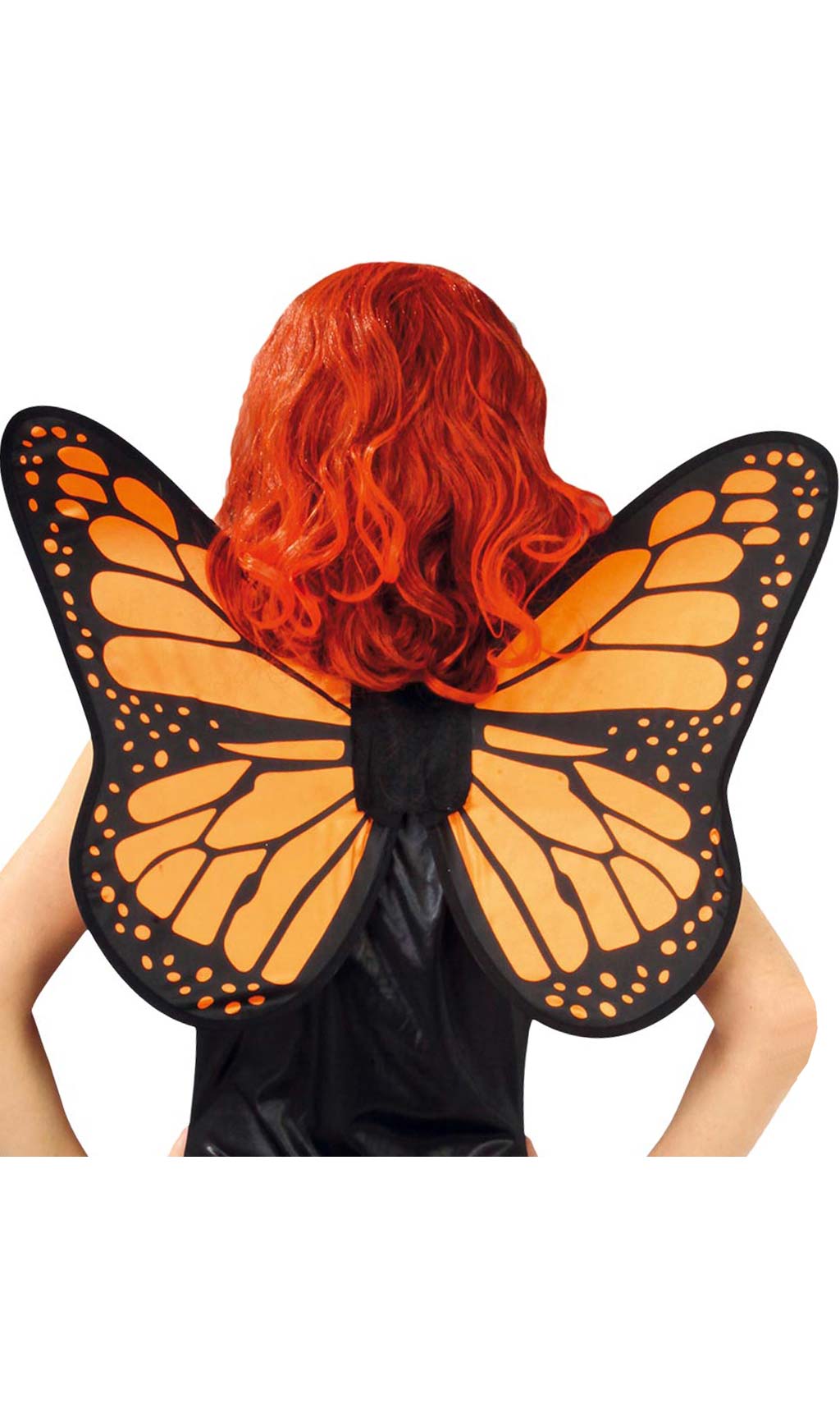 Ailes Papillon Reine