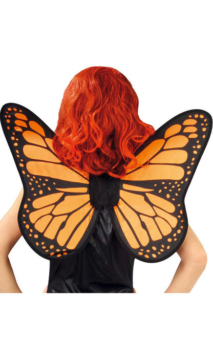 Ailes Papillon Reine