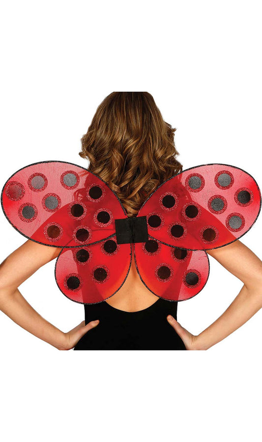 Ailes Coccinelle