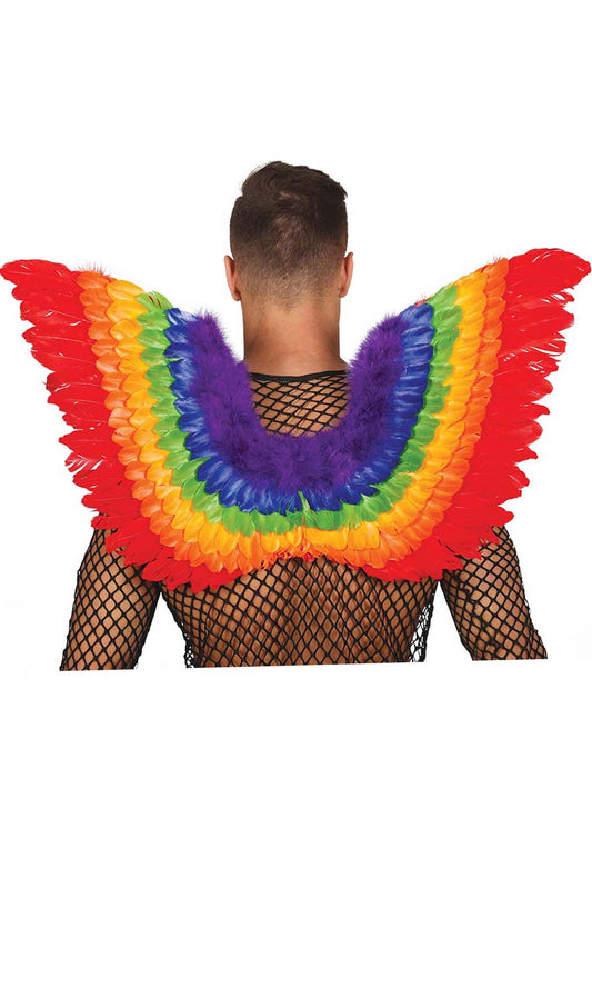 Ailes Multicolores