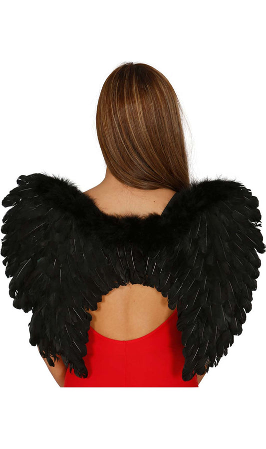 Ailes Noires Batral