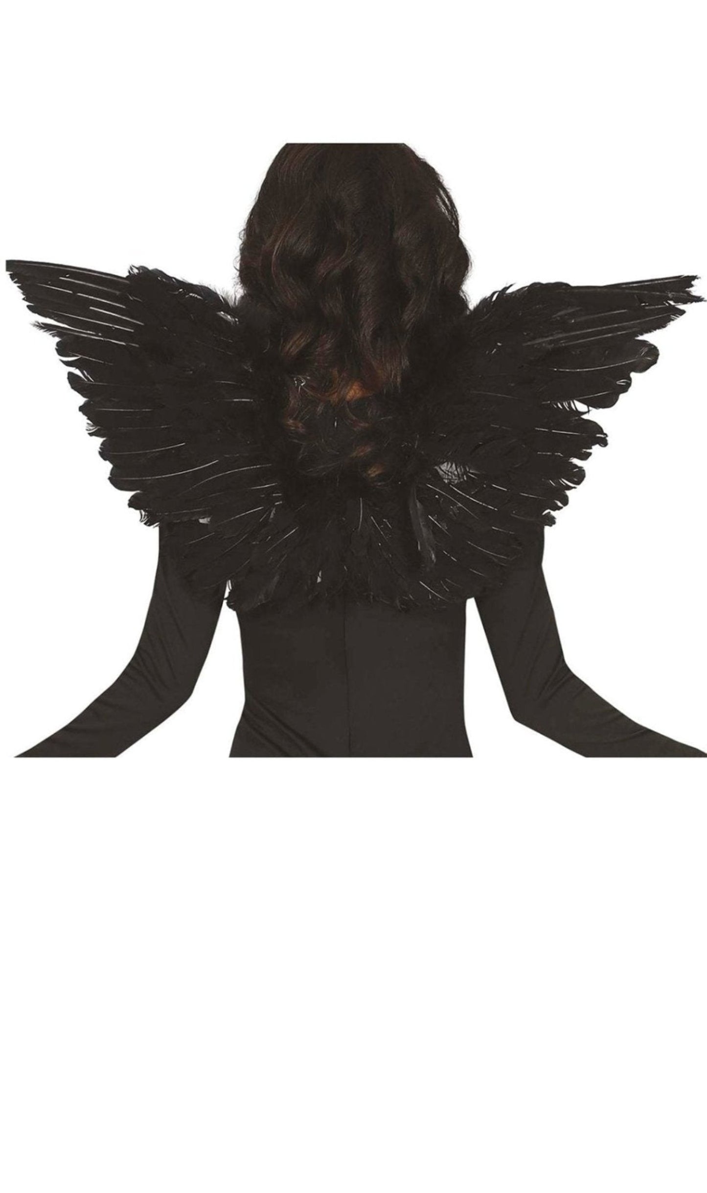 Ailes Plumes Noires eco