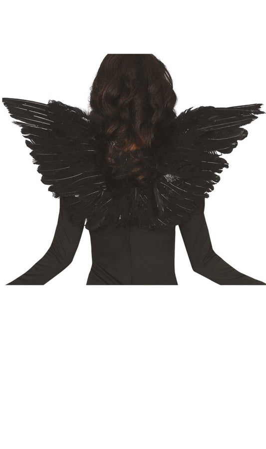 Ailes Plumes Noires eco