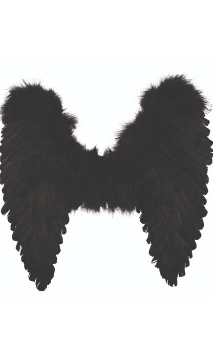 Ailes Noires Éco