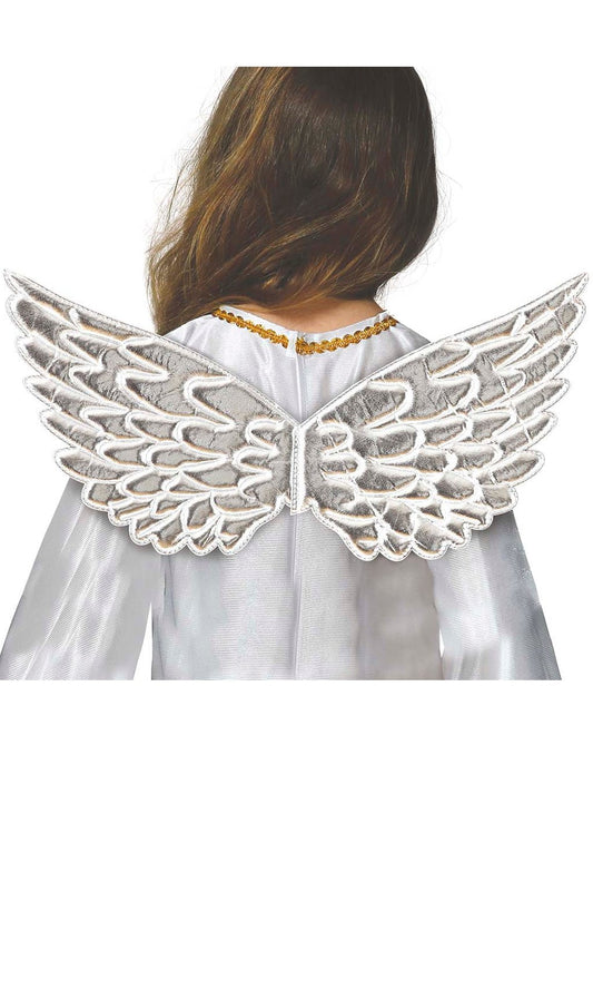 Petites Ailes Argentées