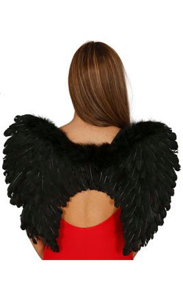 Ailes Noires Batral