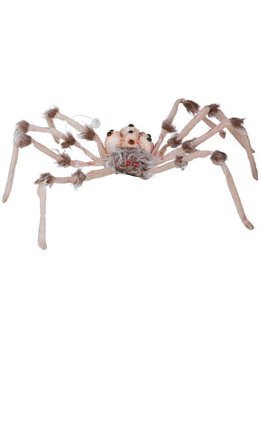 Araignée Yeux avec Lumière