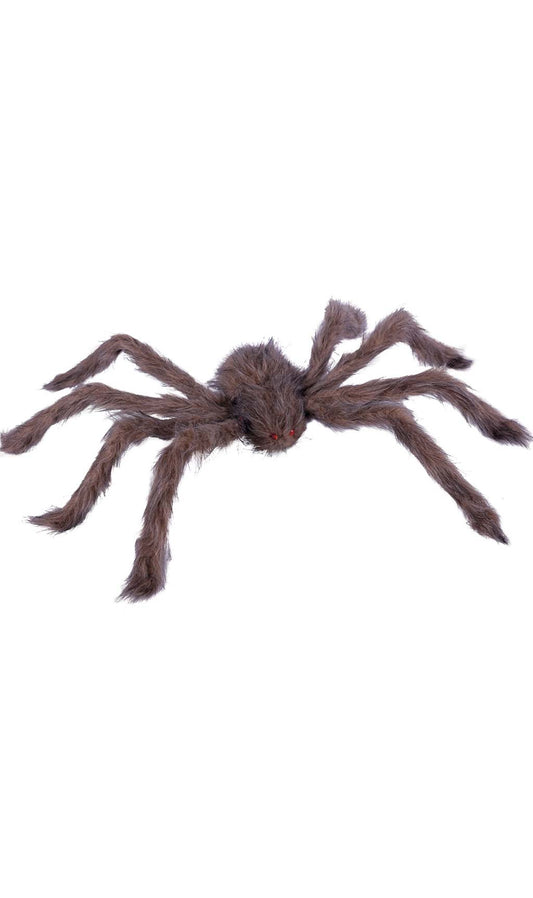 Araignée Poilue XL