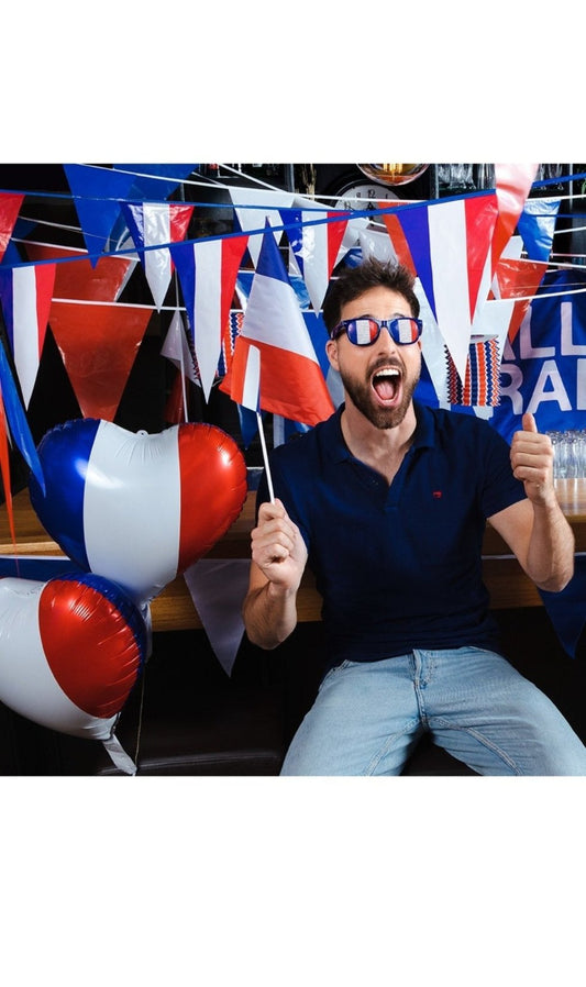 Drapeau de France avec bâton